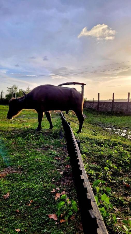 Pousada Marajoara- Hotel Fazenda-Turismo De Aventura Soure Esterno foto