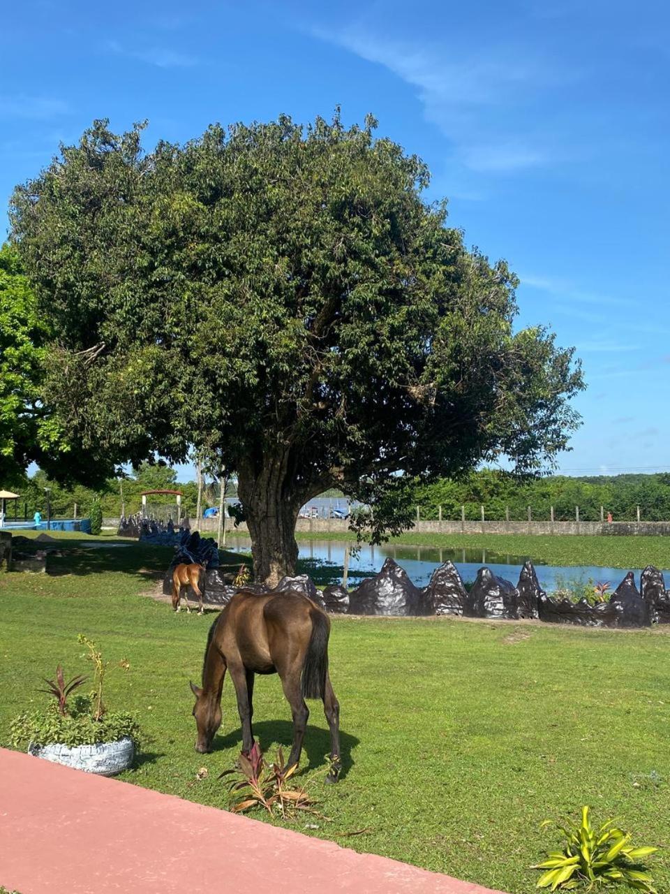 Pousada Marajoara- Hotel Fazenda-Turismo De Aventura Soure Esterno foto