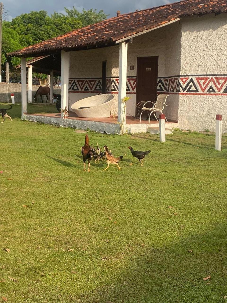 Pousada Marajoara- Hotel Fazenda-Turismo De Aventura Soure Esterno foto
